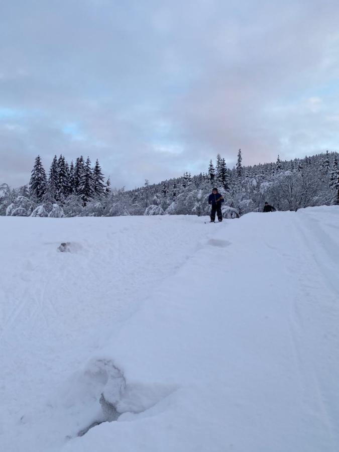 Tuddal Hyttegrend, Gamlestugu, Telemark المظهر الخارجي الصورة